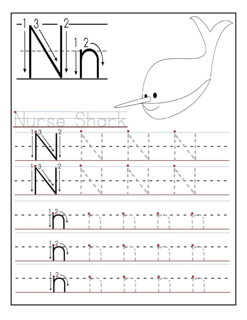 Letter N Worksheets For Preschool And Kindergarten In Letter Nn Worksheets