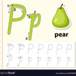 Letter P Tracing Alphabet Worksheets Throughout Letter P Alphabet Worksheets