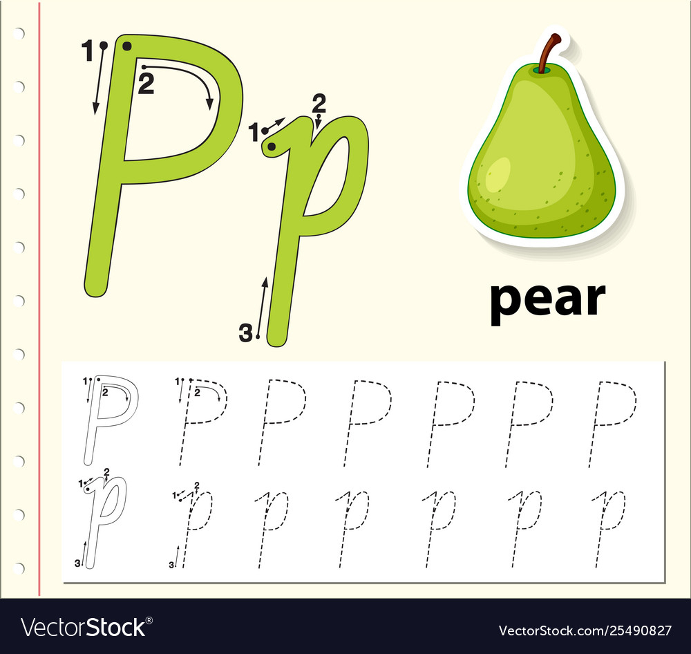 Letter P Tracing Alphabet Worksheets throughout Letter P Alphabet Worksheets