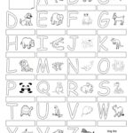 The Animal Alphabet   Poster   English Esl Worksheets With Alphabet Of Worksheets