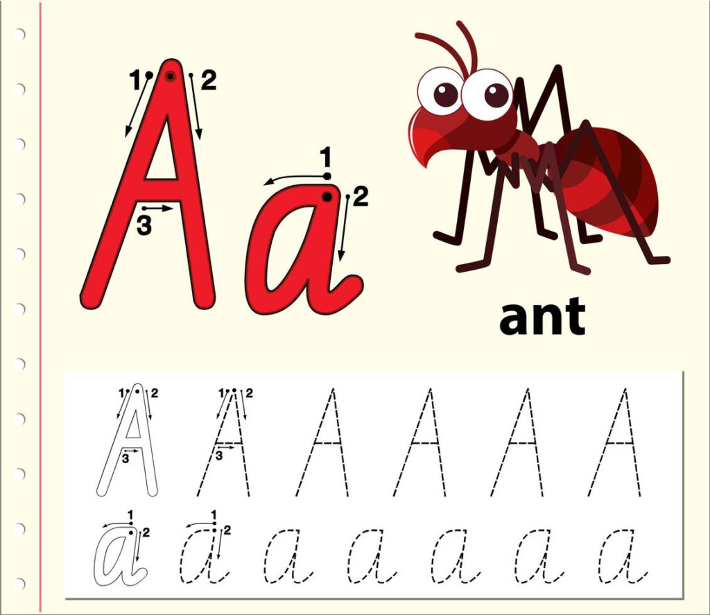 Letter A Tracing Alphabet Worksheets   Download Free Vectors In Letter Tracing Vector