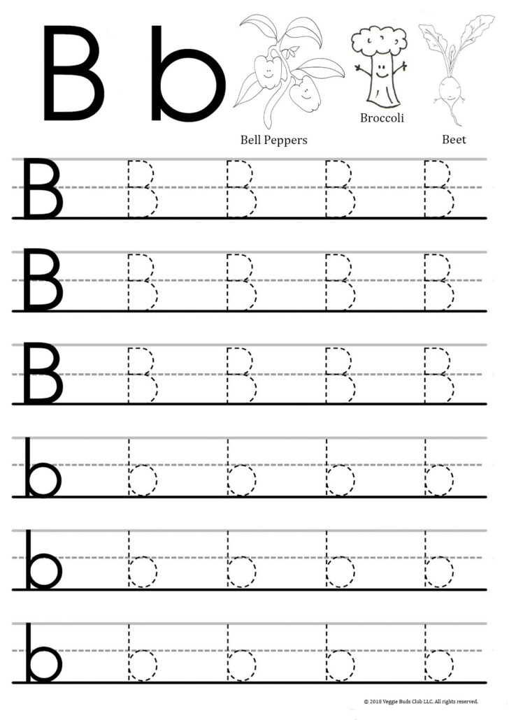 Letter B Tracing Sheet | AlphabetWorksheetsFree.com