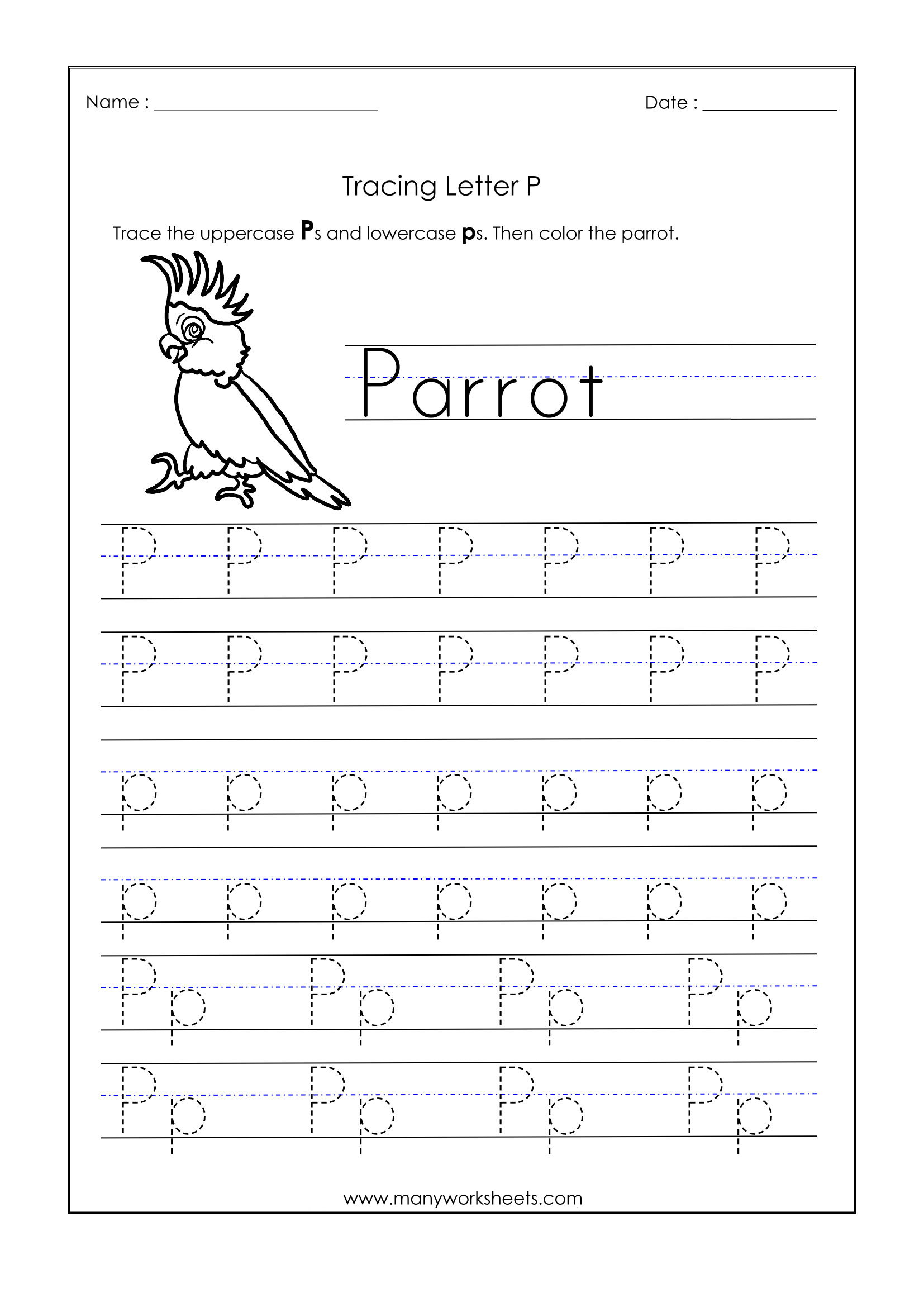 Letter P Worksheets For Kindergarten – Trace Dotted Letters inside Letter P Tracing Paper