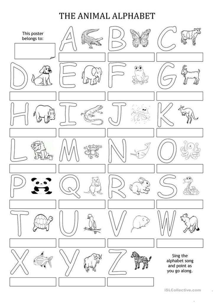The Animal Alphabet   Poster   English Esl Worksheets For Intended For Alphabet Worksheets Esl