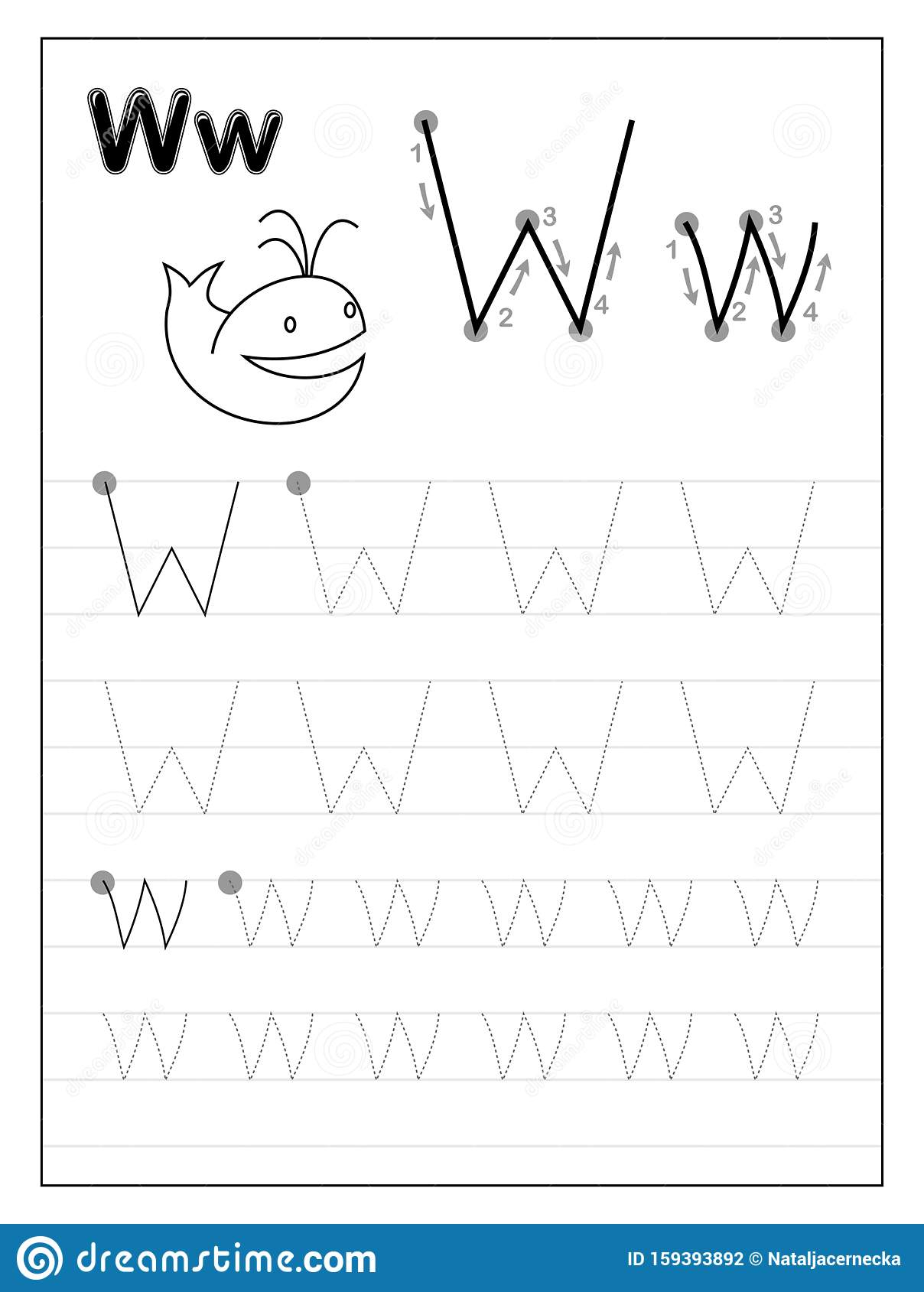Tracing Alphabet Letter W. Black And White Educational Pages inside Letter W Worksheets Printable