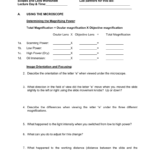 Worksheet For Letter Orientation Worksheets