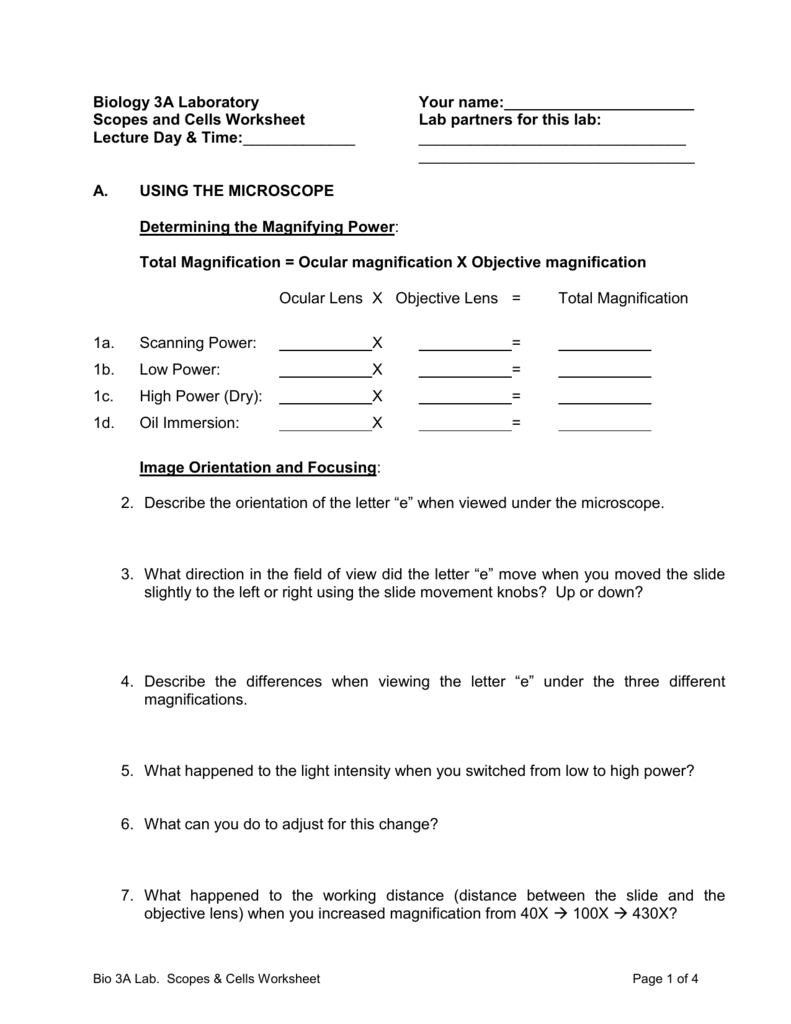Worksheet for Letter Orientation Worksheets