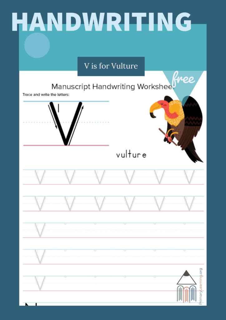 Writing And Tracing Letter V (With Images) | Cursive Regarding Letter V Tracing Paper