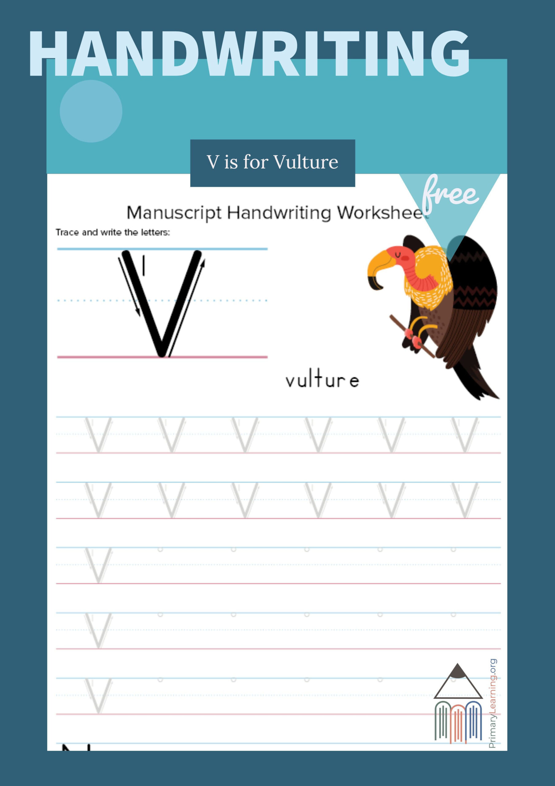 Writing And Tracing Letter V (With Images) | Cursive regarding Letter V Tracing Paper