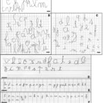 A One Year Survey Of Cursive Letter Handwriting In A French