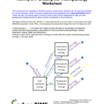 Activity 3.4: Grading The Tracing Energy Worksheet