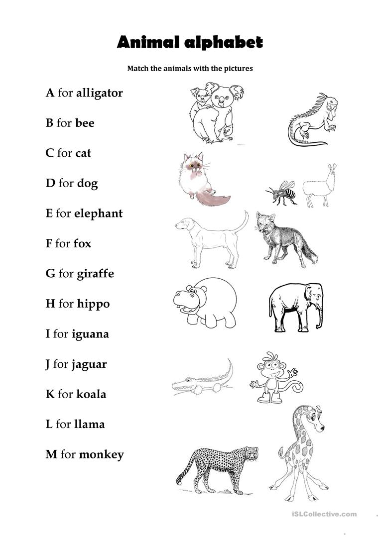 Animal Alphabet - English Esl Worksheets For Distance intended for Alphabet Worksheets For Young Learners