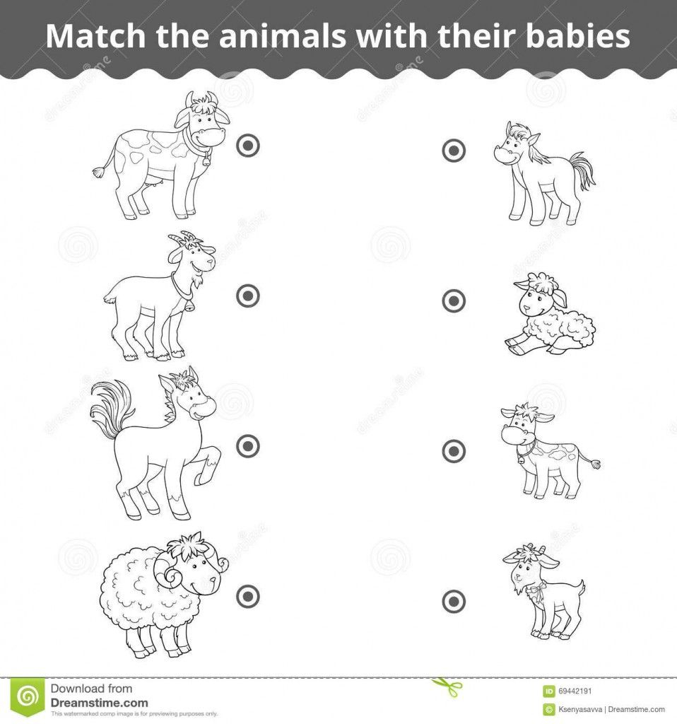 Animals And Their Babies Worksheets For Kindergarten Pdf