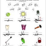 Build Arabic Words Worksheet Set | Arabic Alphabet For Kids