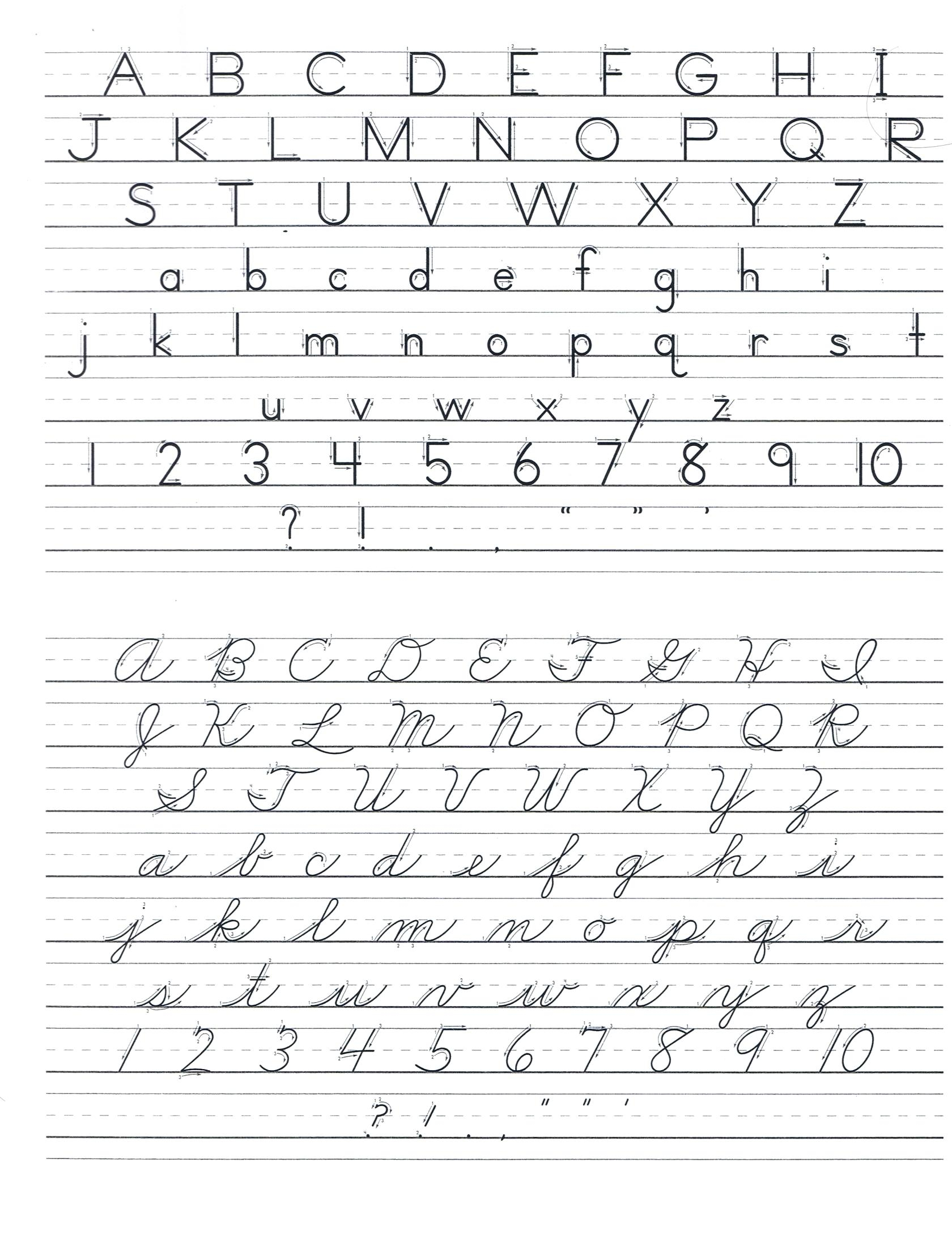D nealian Cursive Alphabet Printable AlphabetWorksheetsFree