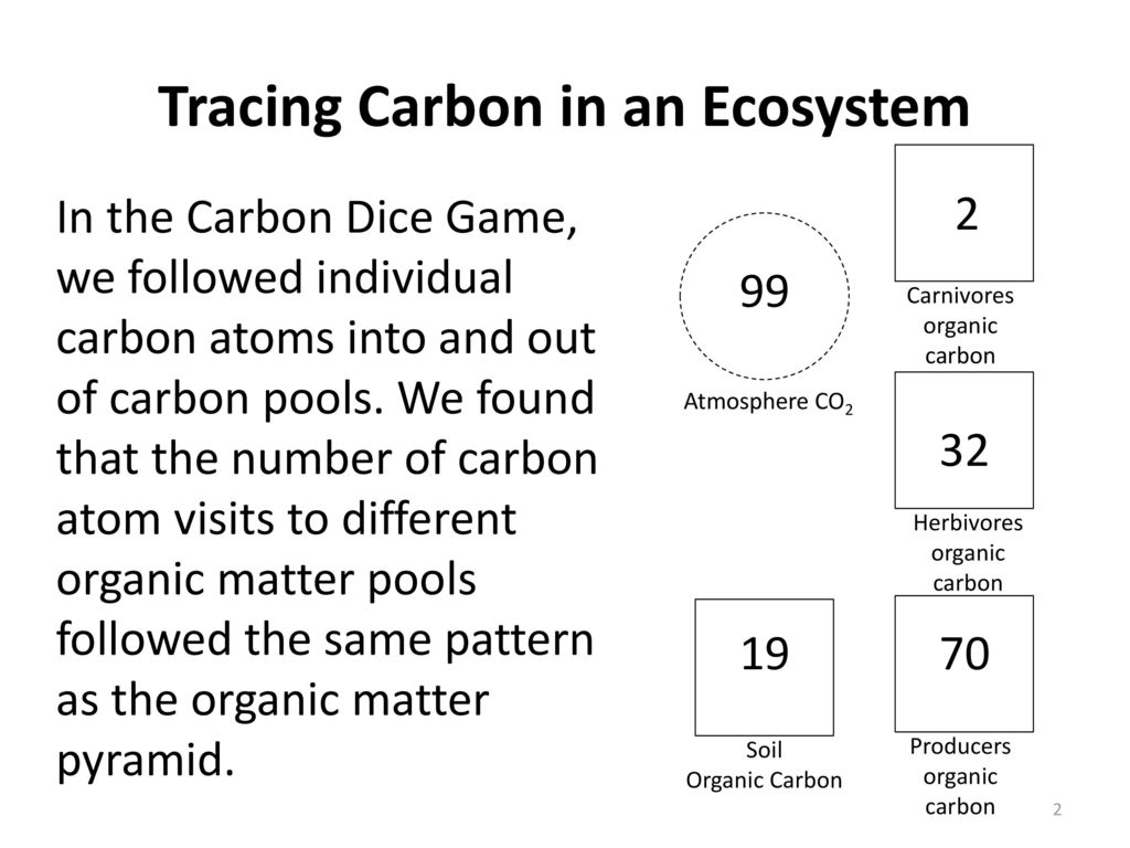 Ecosystems Unit Activity 3.3 Tracing Carbon Through