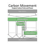 Ecosystems Unit Activity 3.3 Tracing Carbon Through