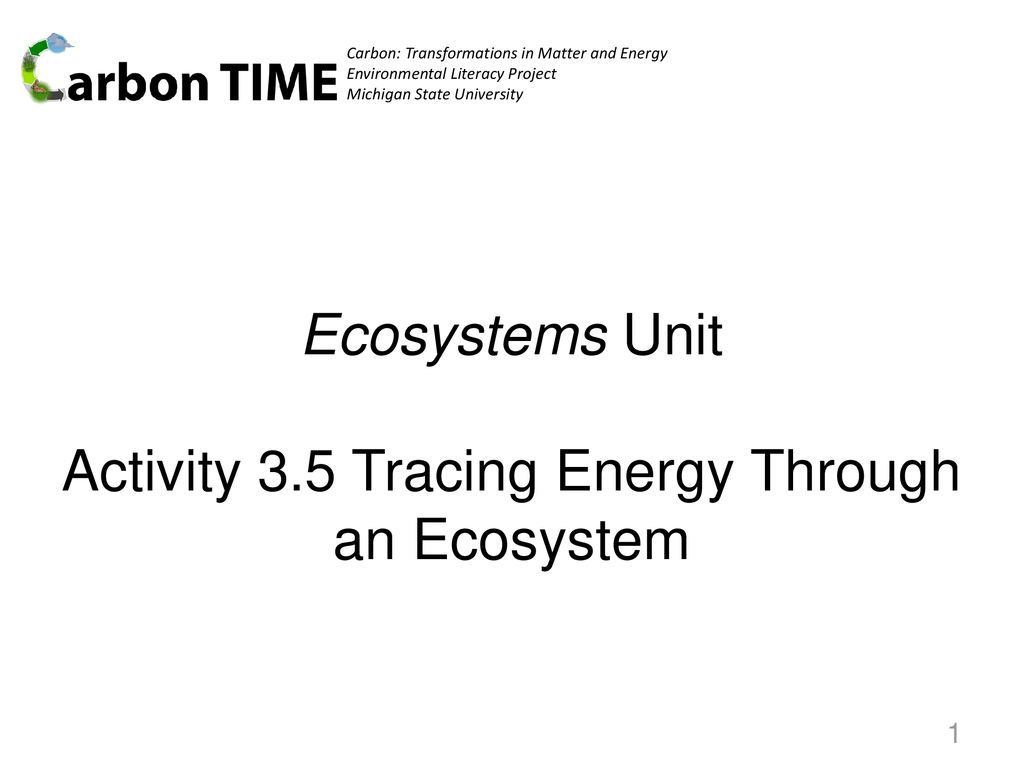 Ecosystems Unit Activity 3.5 Tracing Energy Through An