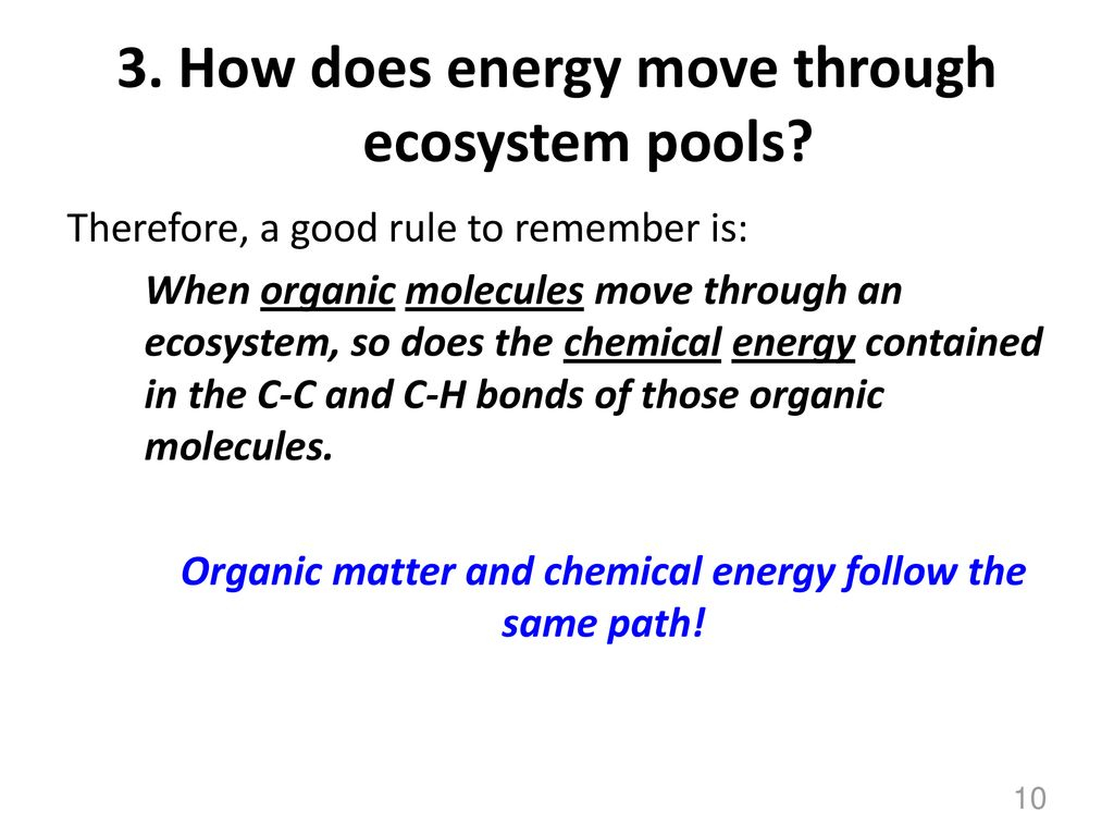 Ecosystems Unit Activity 3.5 Tracing Energy Through An