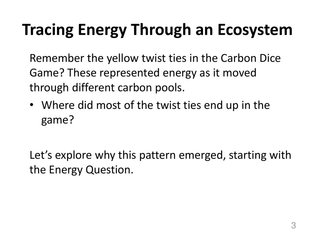 Ecosystems Unit Activity 3.5 Tracing Energy Through An