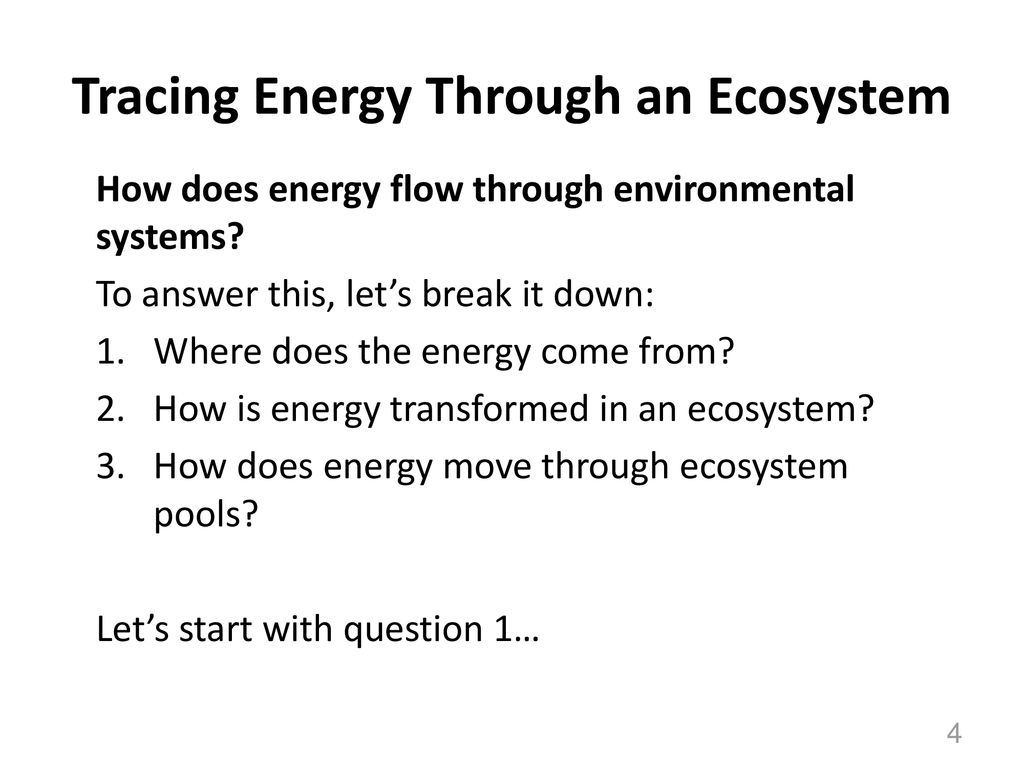 Ecosystems Unit Activity 3.5 Tracing Energy Through An