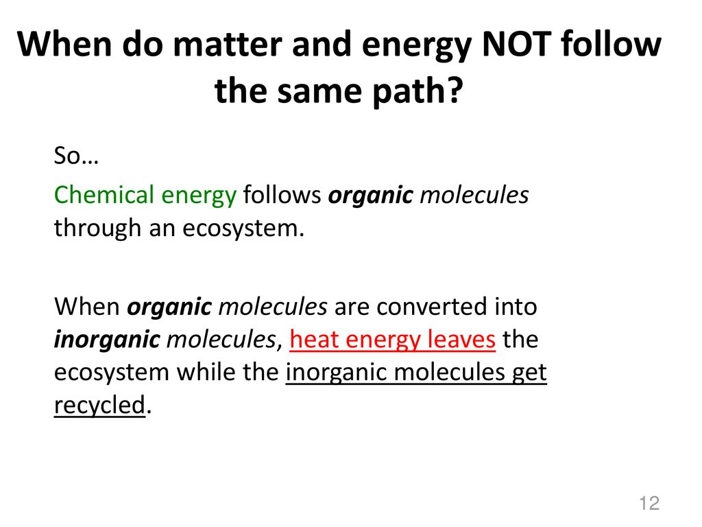 Ecosystems Unit Activity 3.5 Tracing Energy Through An