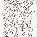 Elegant Cursive Letter Styles Alphabet | Paijo Network