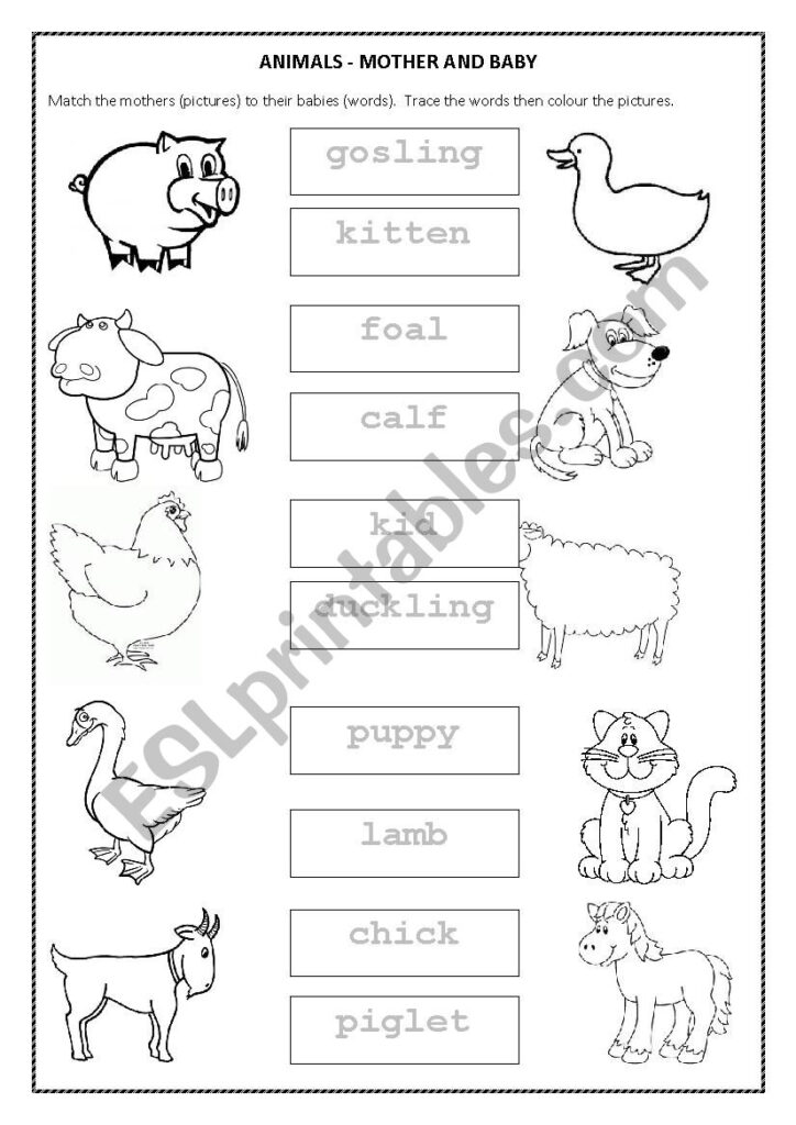 Farm Animals Mothers And Babies Esl Worksheetkmallett Farm Animals Mothers And Babies Esl Worksheetkmallett