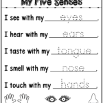Five Senses Activities … | Senses Preschool, English Throughout Tracing Name James