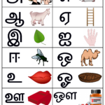 Free Printable Tamil Vowels Chart With Pictures   Uyir