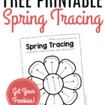 Free Printable Tracing Spring Preschool Worksheets   The