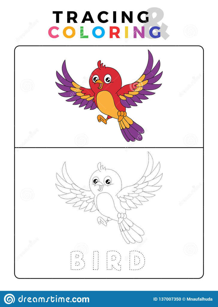 Funny Bird Tracing And Coloring Book With Example. Preschool