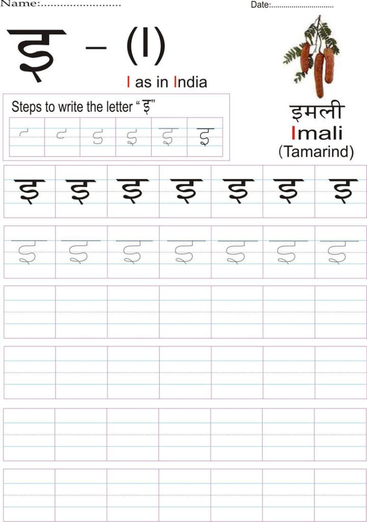 Hindi Alphabet Practice Worksheet   Letter इ