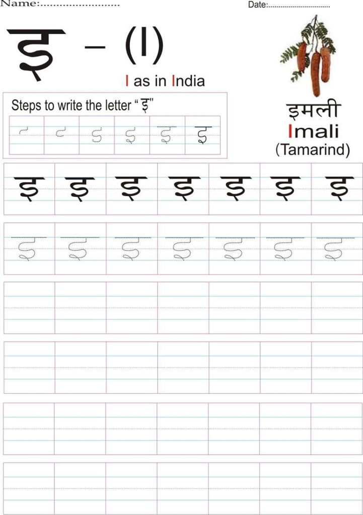 Hindi Alphabet Practice Worksheet   Letter इ | Hindi
