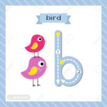 Letter B Lowercase Cute Children Colorful Zoo And Animals Abc.. For Alphabet Tracing Flashcards