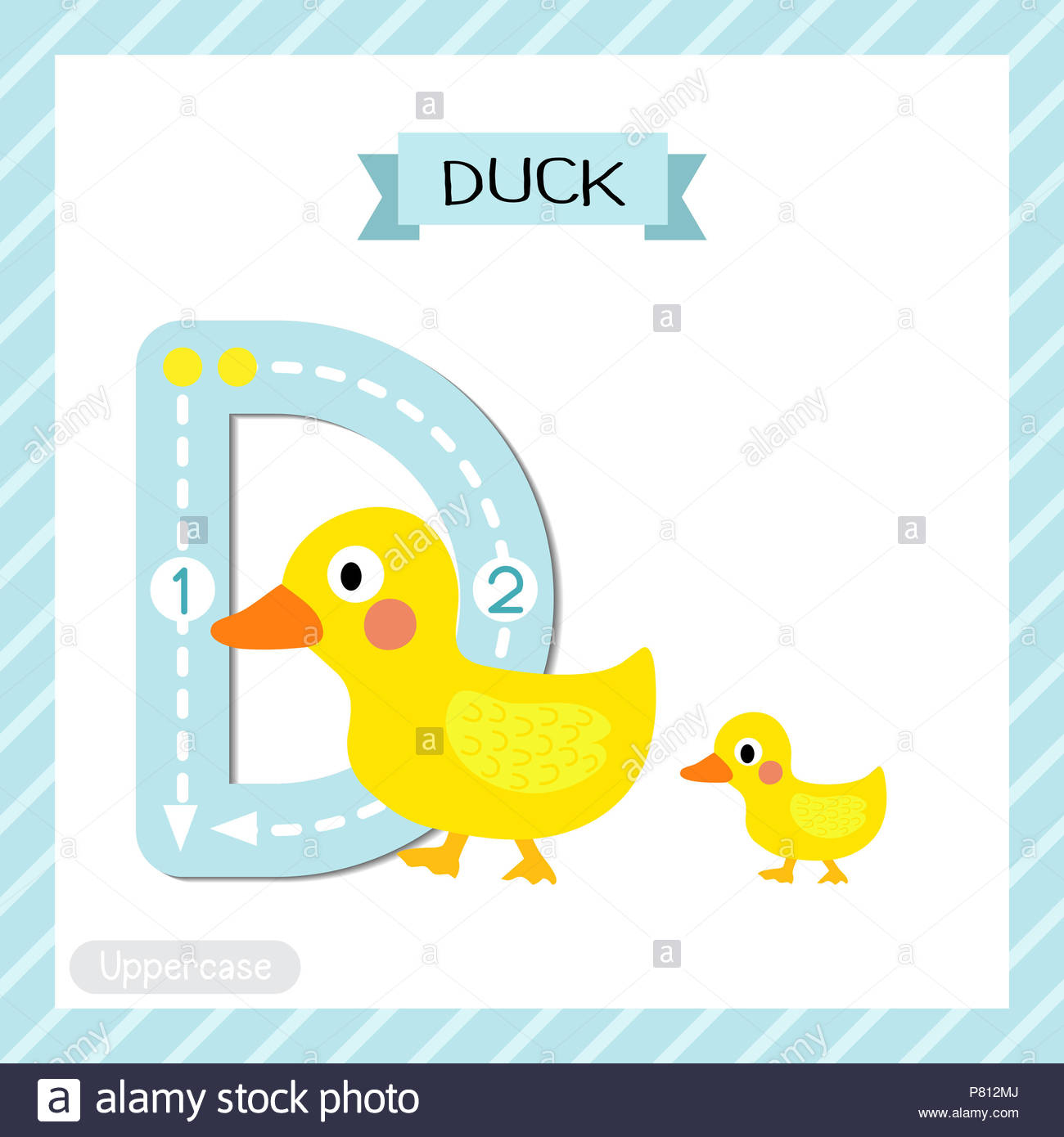 Letter D Uppercase Cute Children Colorful Zoo And Animals with Alphabet Tracing Flashcards
