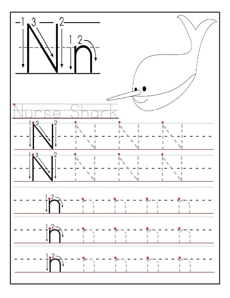 Letter N Worksheets For Preschool And Kindergarten