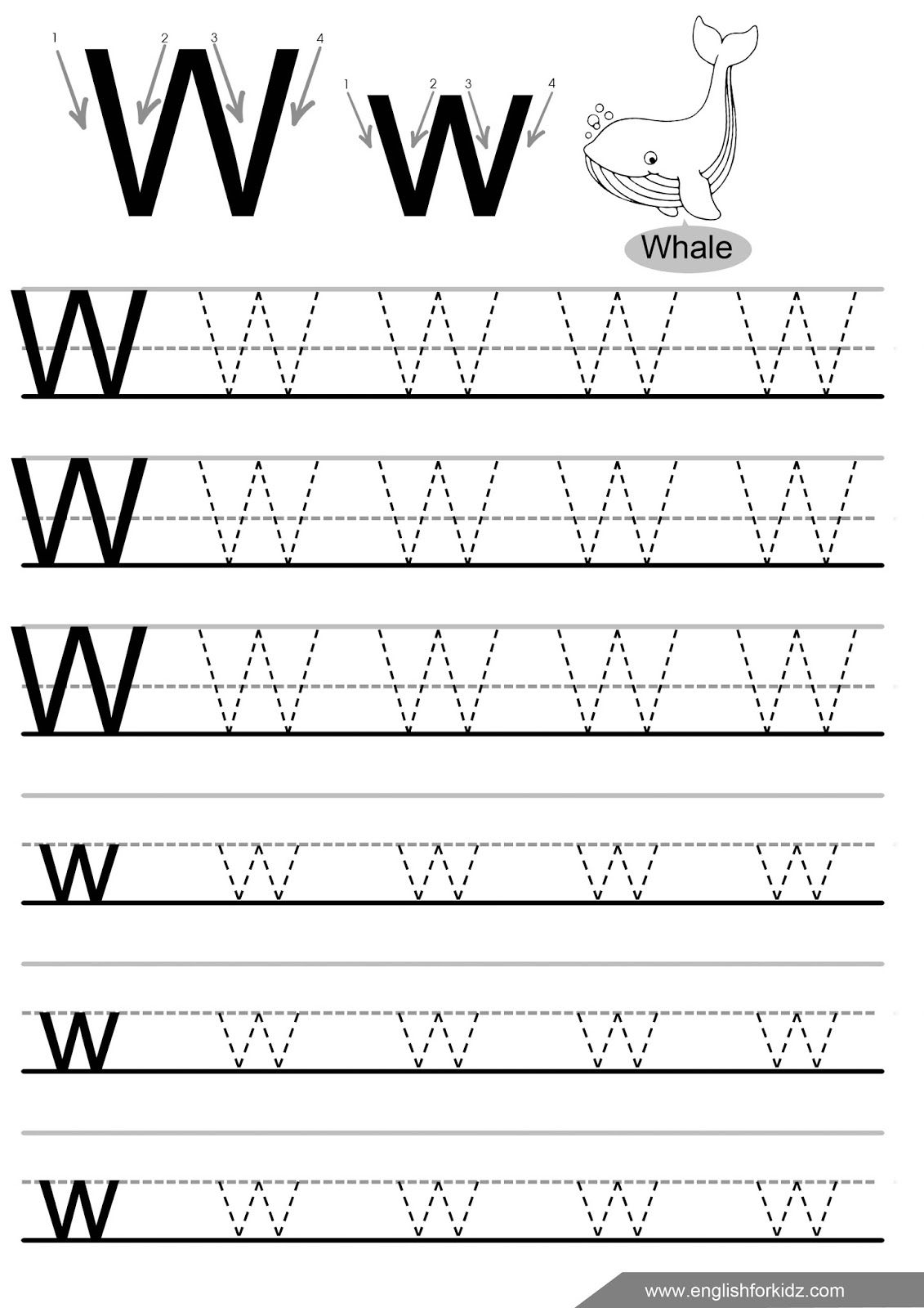 Letter W Tracing Worksheet, English Alphabet Worksheets pertaining to Letter W Tracing Preschool