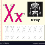 Letter X Tracing Alphabet Worksheets In Letter Tracing X