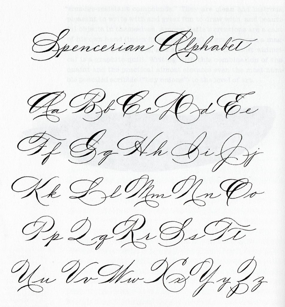 Looking For Certain Spencerian Exemplar - Calligraphy