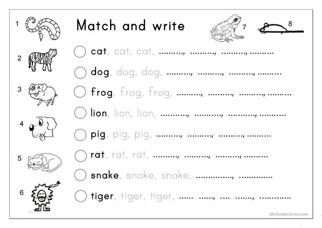 Matching, Letter Tracing, Writing   Animals   English Esl