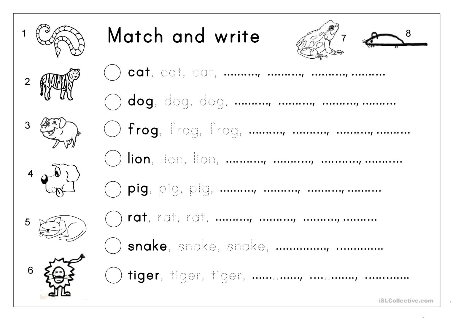 Matching, Letter Tracing, Writing - Animals - English Esl