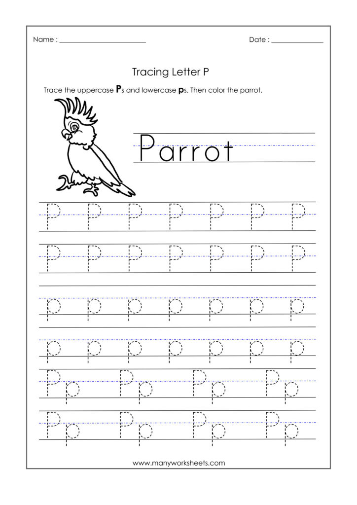 Math Worksheet : Letter P Worksheets For Kindergarten Trace Throughout Letter P Tracing For Preschool