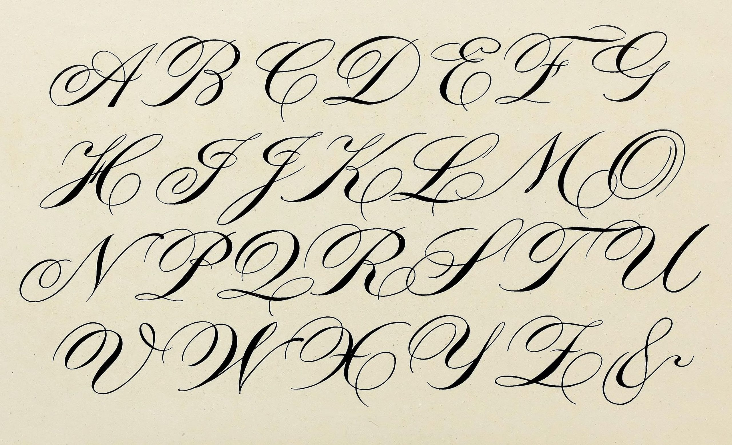 Math Worksheet : Lettering Design Calligraphy Cursive