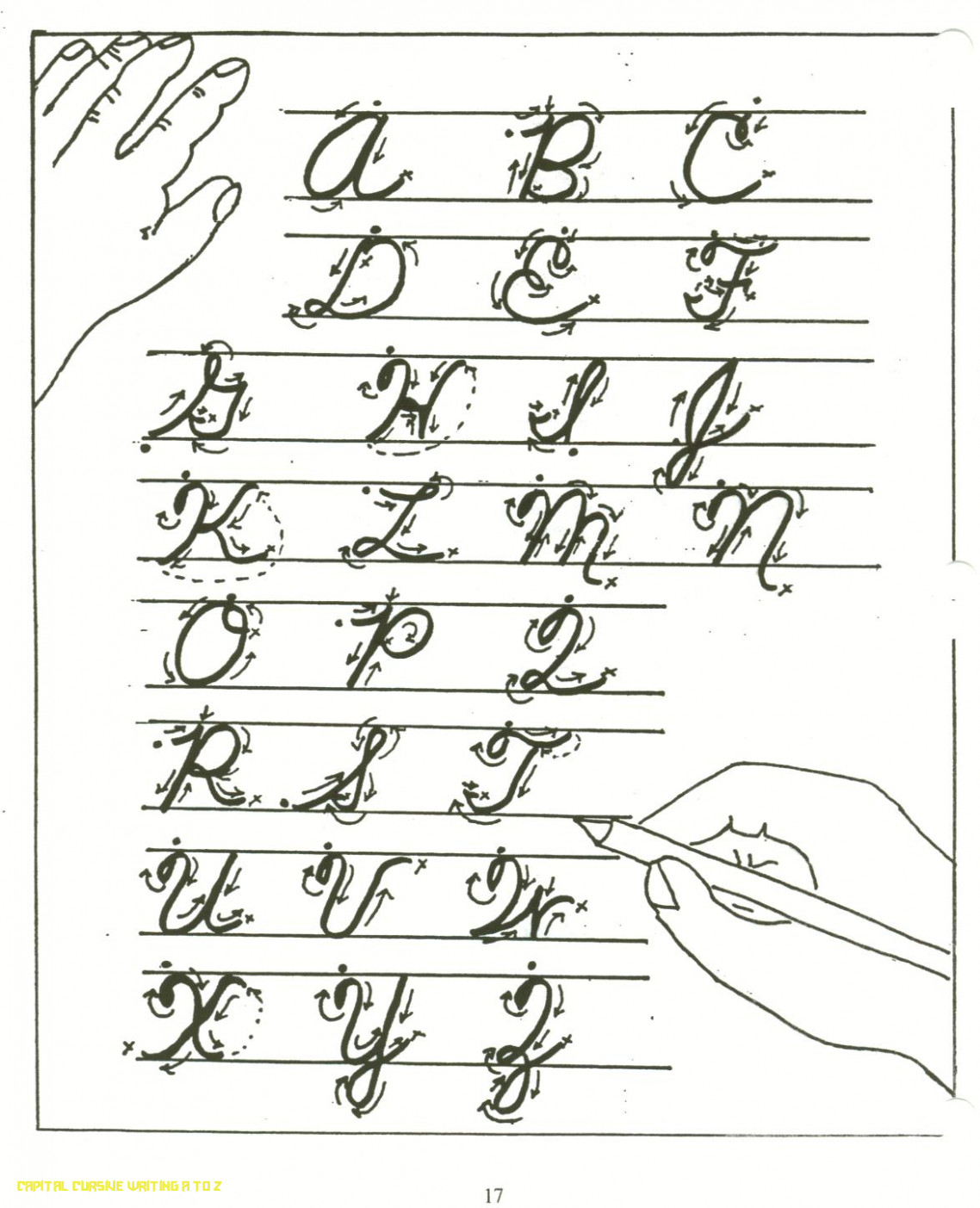 Math Worksheet : Writing The Alphabet In Cursive Writing The