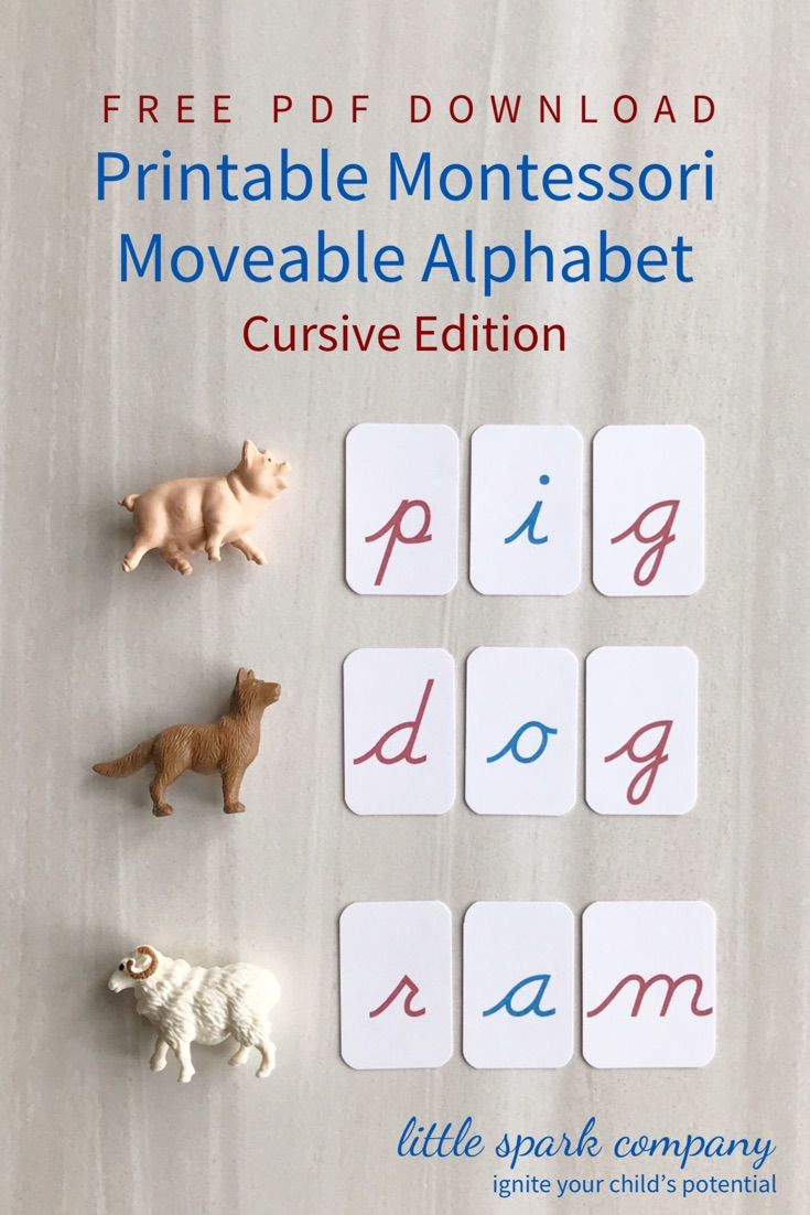 Montessori Moveable Alphabet Cursive Free Download