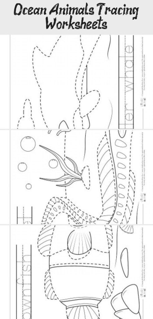 Ocean Animals Tracing Worksheets   Itsy Bitsy Fun