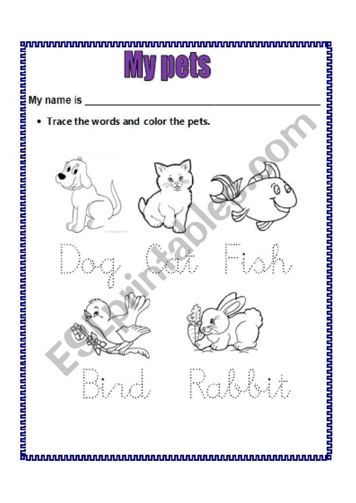 Pets   Esl Worksheetvivita24