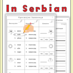 Possessive Pronouns In Serbian  Prisvojne Zamenice U Srpskom Regarding Letter M Worksheets Soft School