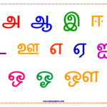 Scientific Uyirmei Eluthukkal Tamil Alphabet Chart For Kids